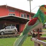 Exterior - Hostal Brisas del Volcán en Chiriquí